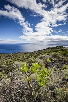 Images Dated 25th September 2019: Spain, Canary Islands, La Palma Island, Fuencaliente de la Palma, Punta de Fuencaliente