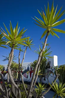 Patio Prints: Spain, Canary Islands, Lanzarote, Tahiche, Fundacion Cesar Manrique, outdoor patio