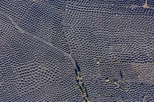 View From Above Prints: Spain, Canary Islands, Lanzarote, La Geria, aerial view over the Vineyards