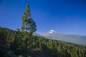 Spain, Canary Islands, Tenerife, Valle de la Orotava, view of the Pico del Teide