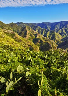 Macaronesia Prints: Spain, Canary Islands, Tenerife, Cruz del Carmen, View of the Anaga Mountains
