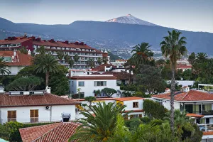 Puerto De La Cruz Prints: Spain, Canary Islands, Tenerife, Puerto de la Cruz, dawn view of Pico del Teide