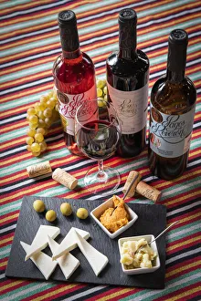 Spain, Canary Islands, Tenerife, Wine-tasting at Reveron winery