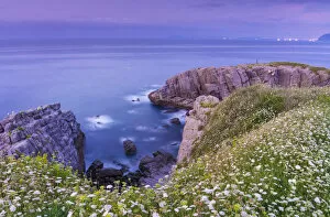 Images Dated 14th July 2018: Spain, Cantabria, Castro-Urdiales, cove with wild flowers