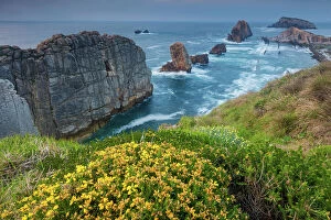 Images Dated 31st May 2023: Spain, Cantabria, Los Urros near Liencres village, natural park