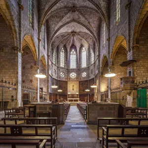 Images Dated 20th January 2021: Spain, Catalonia, Barcelona, Pedralbes Monastery, The central nave of the Abbey