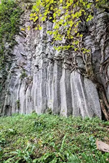 Basaltic Prints: Spain, Catalonia, Olot, Basaltic rocks at Cingles de Fontfreda