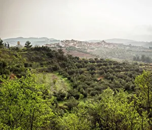Tarragona Prints: Spain, Catalonia, Tarragona, El Masroig, Rural landscape around the Masroig village