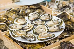 Images Dated 25th September 2020: Spain, Galicia, Vigo, Fresh oysters at the oyster market