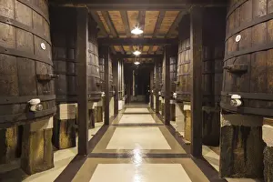 Rioja Prints: Spain, La Rioja, Haro. Original fermentation barrels at La Rioja Alta, a traditional