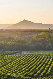Rioja Prints: Spain, La Rioja. Vineyards at sunrise and Davalillo Castle in the background