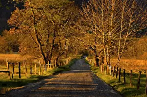 Elegant Prints: Sparks Lane at dawn, Great Smoky Mountains National Park, Tennessee, USA