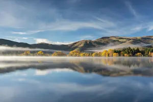 Banks Prints: Spectacular autumnal colours on the banks of Wairepo Arm near Twizel in South Island