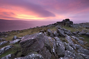 Spectacular pink sunrise above Belstone Tor, Dartmoor, Devon, England. Winter