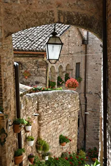 Umbria Prints: Spello, city of flowers, typical old stone village, Umbria, Italy, Europe