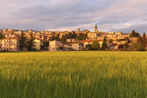Grain Prints: Spello at sunset, Perugia district, Umbria, Italy