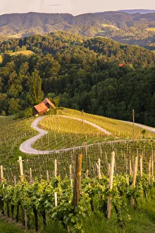 Roads Prints: Spicnik, Kungota, Drava region, Slovenia, East Europe
