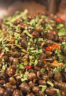 Images Dated 11th June 2014: Spicy snails, Hoi An (UNESCO World Heritage Site), Quang Ham, Vietnam
