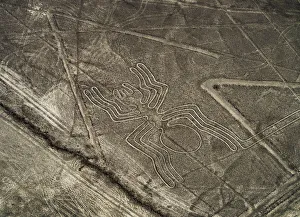 Peru Prints: The Spider Geoglyph, aerial view, Nazca, Ica Region, Peru