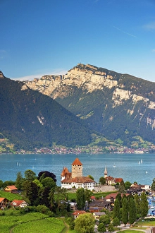 Lake Thun Prints: Spiez Castle with Niederhorn mountain in the background