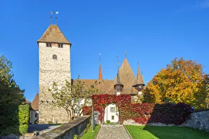Images Dated 27th November 2019: Spiez castle, Spiez, Berner Oberland, Switzerland