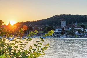 Lake Thun Prints: Spiez Castle at sunset, Spiez, Canton of Bern, Switzerland
