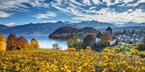 Spiez Castle and vineyards, Berner Oberland, Switzerland