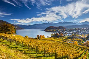 Spiez Castle and vineyards, Berner Oberland, Switzerland