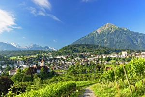 Spiez Castle, vineyards and Niesen mountain, Spiez, Canton of Bern, Switzerland