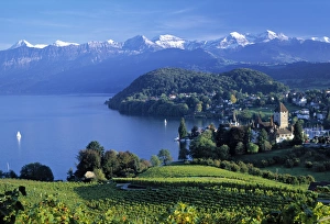 Spiez, Lake Thun
