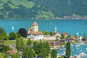 Lake Thun Prints: Spiez, Lake Thun, Berner Oberland, Switzerland