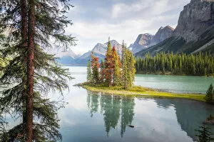 Images Dated 21st February 2020: Spirit Island trees and reflection, Maligne Lake, Jasper, Canadian Rockies, Canada