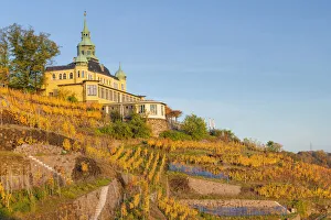 East Germany Prints: Spitzhaus at vineyard in autumn, , Radebeul, Elbe valley, saxon wine route, Radebeul