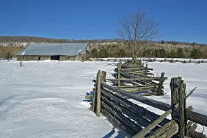 Manitoulin Island Prints: Splir rail or snake fence and barn in winter Sheguindah