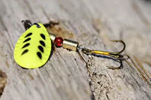 Spoon lure and fishhook