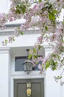 Images Dated 3rd May 2022: Spring blosson and door, Kensington, London, England, UK