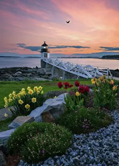 Port Clyde Prints: Spring flowers at Marshall Point Lighthouse, Port Clyde, Maine, USA