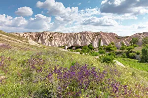 Goreme Prints: Spring flowers and rock formations