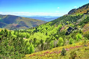 North Region Prints: Spring at the Mar£o mountain range. Trás-os-Montes, Portugal