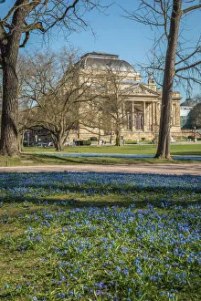 Wiesbaden Prints: Spring meadow at park with State Theater, Wiesbaden, Hesse, Germany