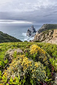 Cape Prints: Spring plants on a promontory overlooking the beach and cliffs of Praia da Ursa Cabo