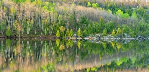 Natural Arch Prints: Spring reflections in Simon Lake, Greater Sudbury, Ontario, Canada