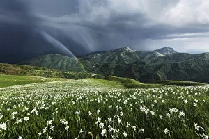 Western Prints: Spring storm from the top of Monte Croce in the Apuan Alps, Tuscany, Italy