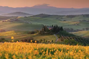 Crop Prints: Spring sunrise with canola flowers over the iconic Podere Belvedere in Val d'Orcia