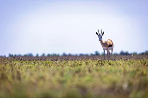 March Gallery: 