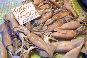 Images Dated 27th August 2014: Squid, Fish Market, Ortygia, Syracuse, Sicily, Italy