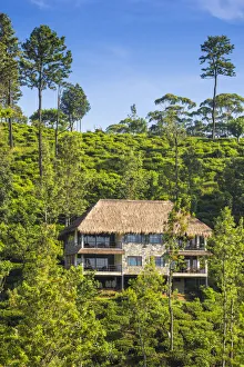 Tea Estates Prints: Sri Lanka, Ella, 98 Acres Resort and Spa
