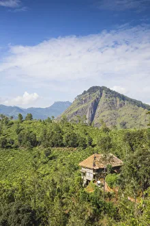 Sri Lanka, Ella, 98 Acres Resort and Spa