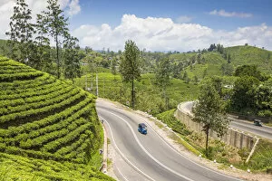 Sri Lanka, Hatton, Tuk Tuk on road