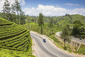 Tea Estates Prints: Sri Lanka, Hatton, Tuk Tuk on road